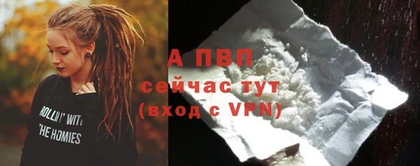 сатива Волосово