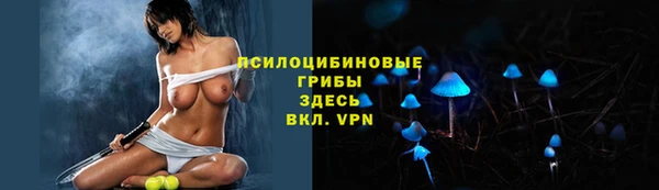 ECSTASY Володарск