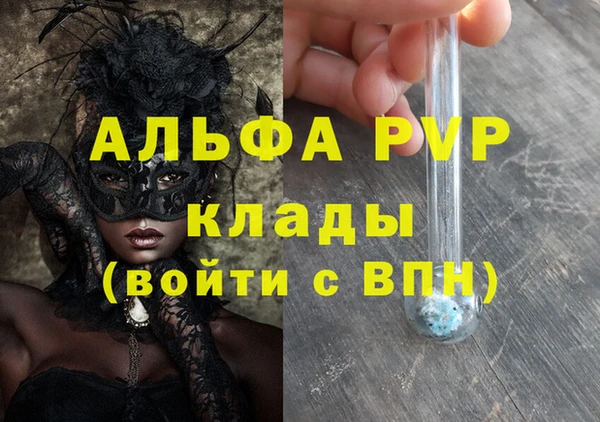 сатива Волосово