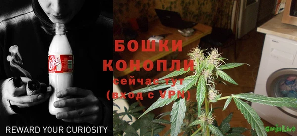 сатива Волосово